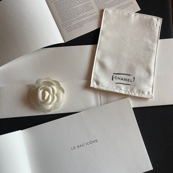 NEW CHANEL Classic Caviar Medium Double Flap Bag Beige Clair Gold Hardware - Picture 12 of 16